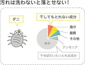 汚れは洗わないと落とせない！